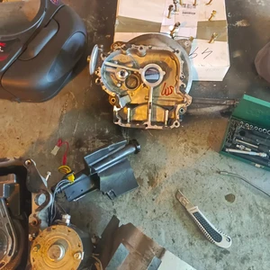 IMG_20231031_201234_890 (1)