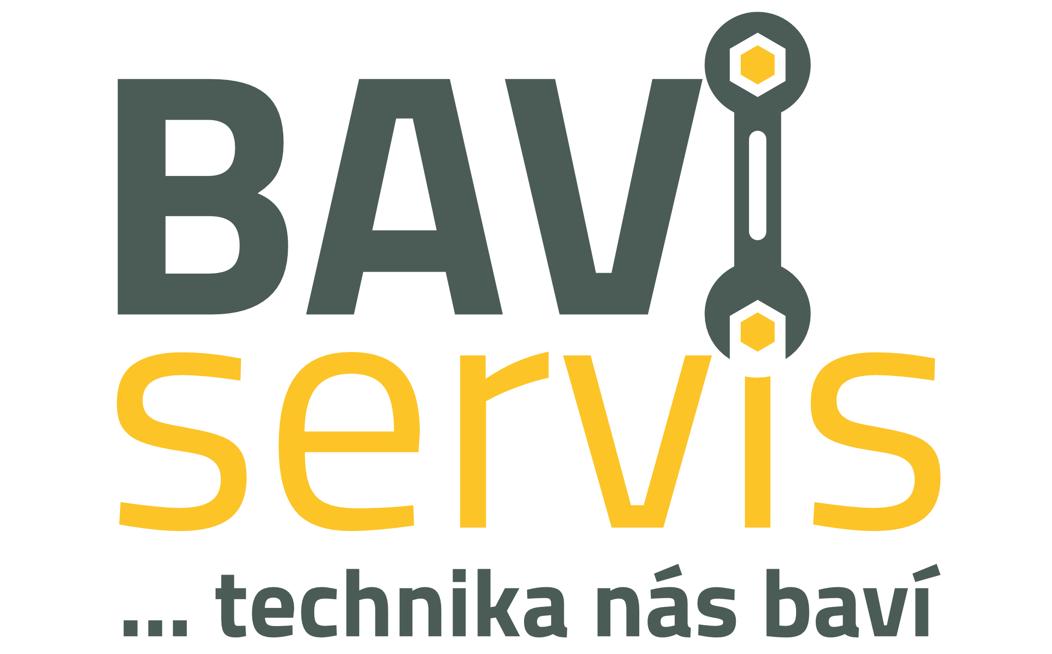 BAVI Servis
